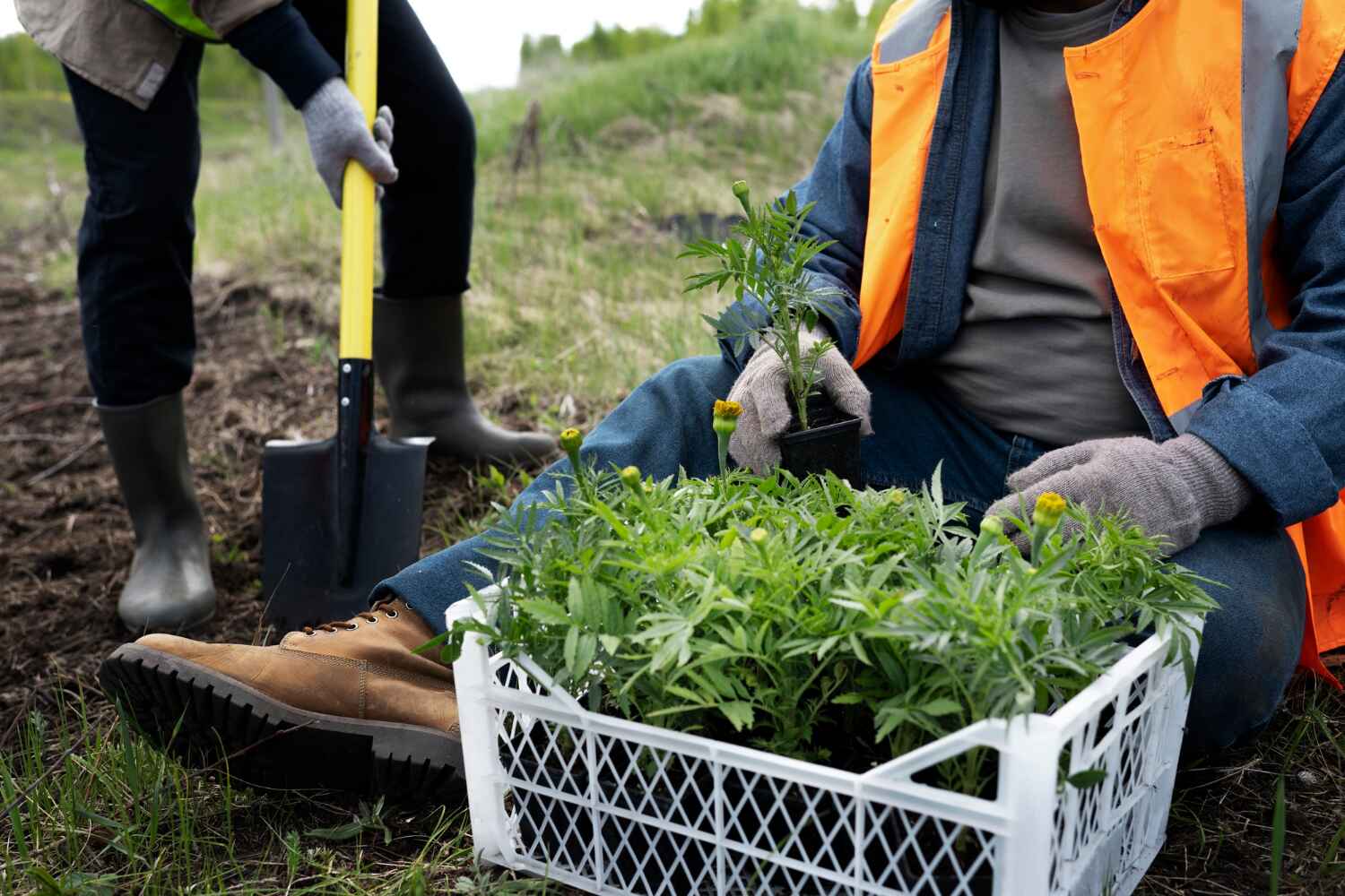 Tanaina, AK Tree Service Company